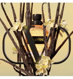 Uomo Born in Roma Yellow Dream - Eau de Toilette Uomo Born in Roma Yellow Dream - Eau de Toilette